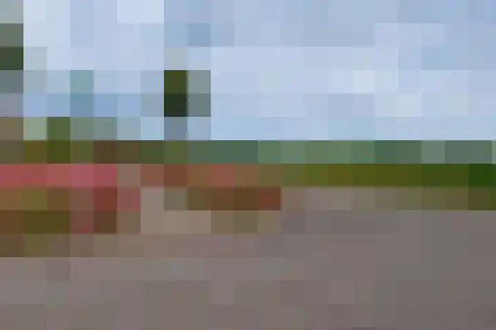 Loohof 3 Spankeren thumbnail 31