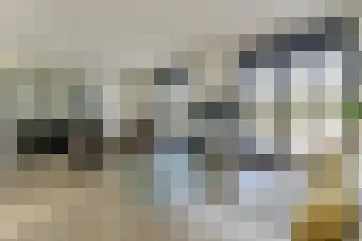 Loohof 9 Ermelo thumbnail 12