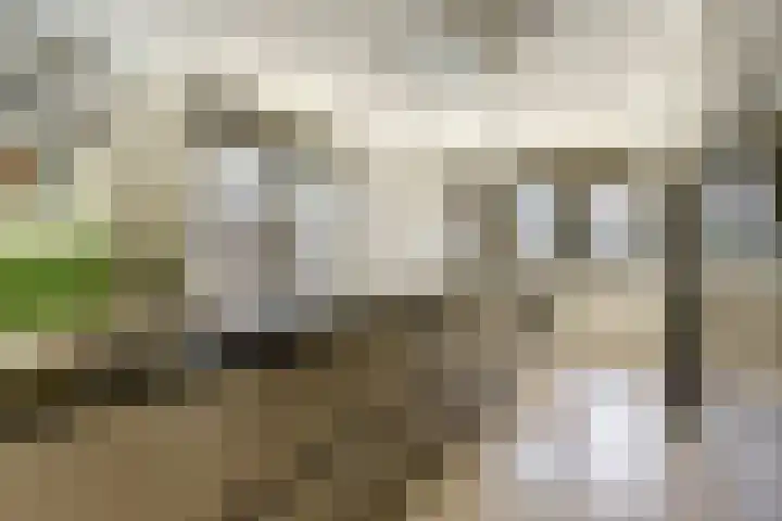 Loohof 9 Ermelo thumbnail 13