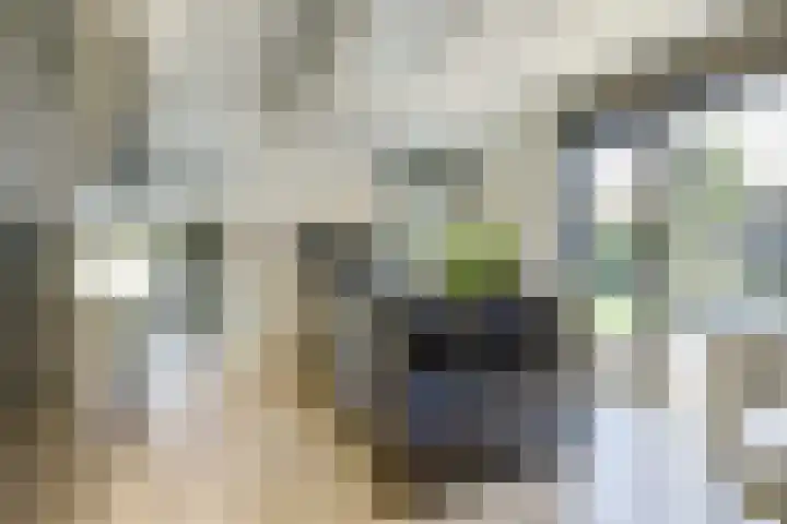 Loohof 9 Ermelo thumbnail 16