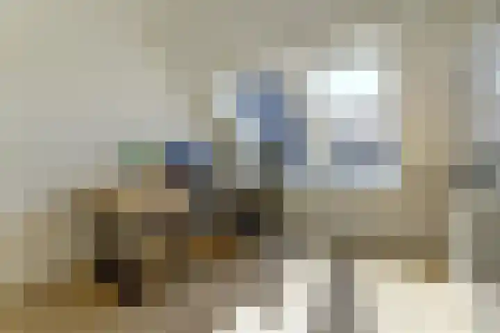 Loohof 9 Ermelo thumbnail 29