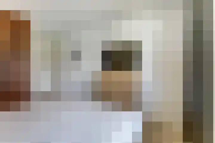 Loohof 9 Ermelo thumbnail 31