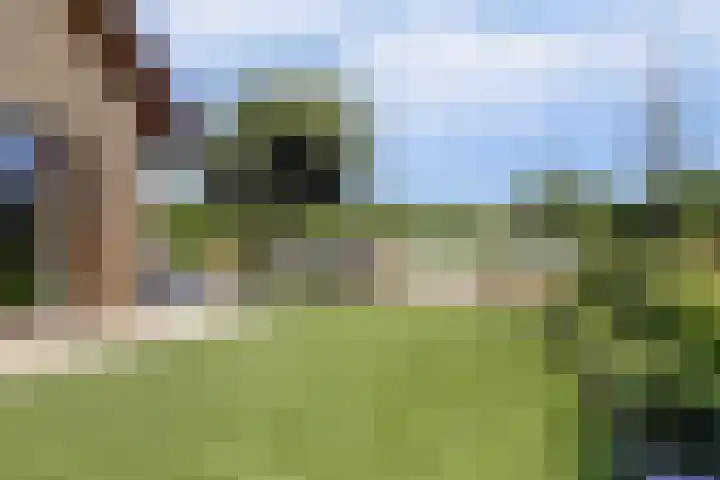 Loohof 9 Ermelo thumbnail 41