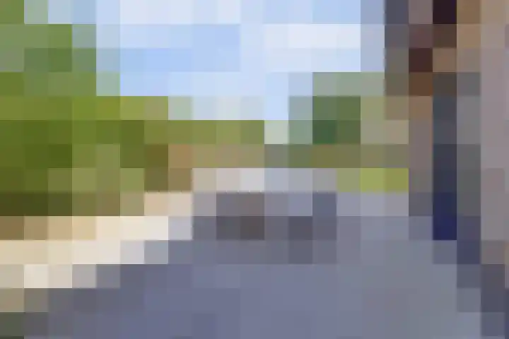 Loohof 9 Ermelo thumbnail 47