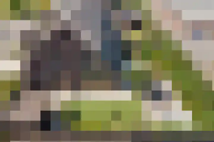 Loohof 9 Ermelo thumbnail 49