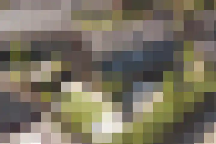 Loohof 9 Ermelo thumbnail 5