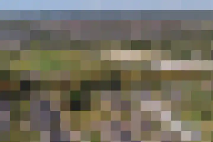Loohof 9 Ermelo thumbnail 50