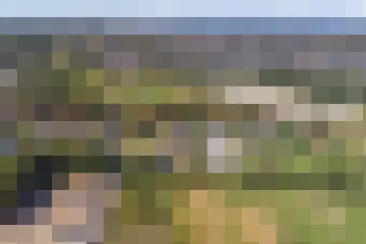 Loohof 9 Ermelo thumbnail 51