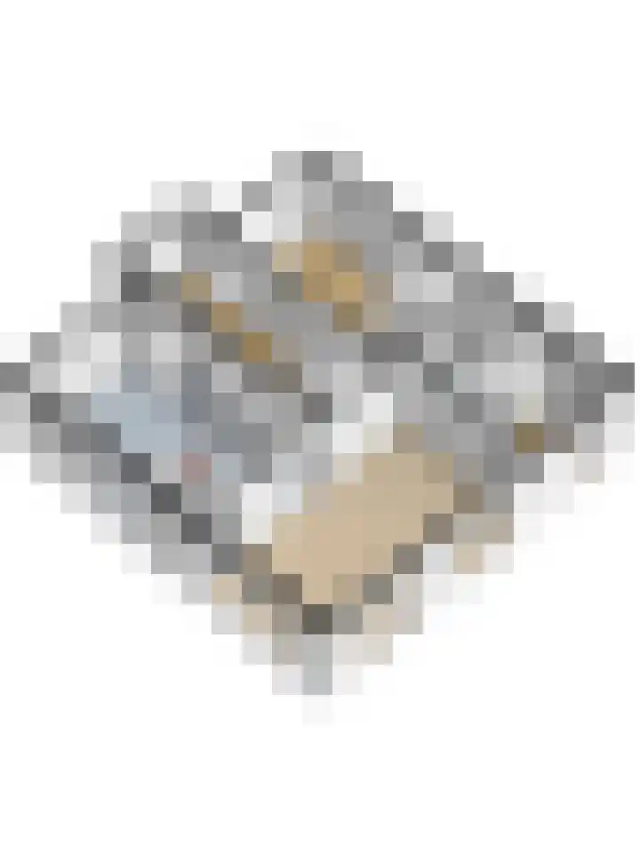Loohof 9 Ermelo thumbnail 53