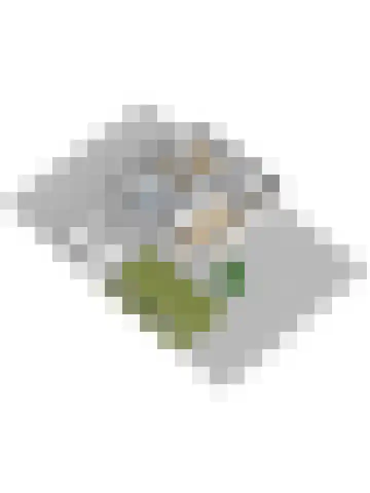 Loohof 9 Ermelo thumbnail 59