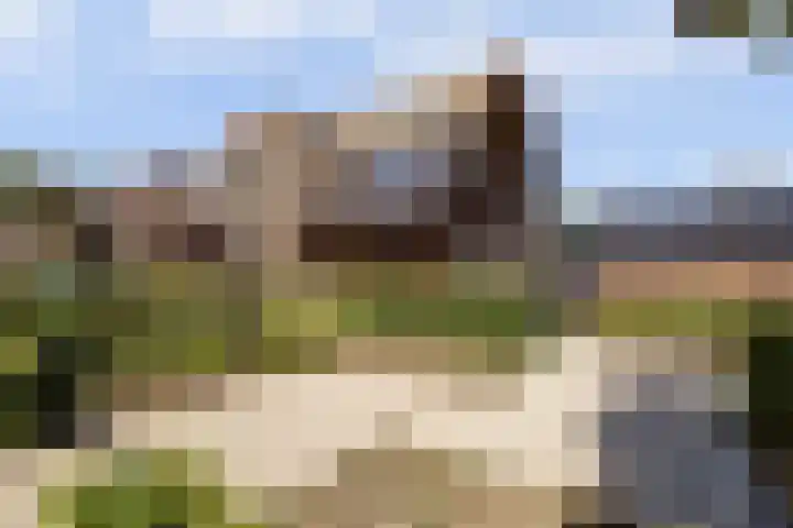 Loohof 9 Ermelo thumbnail 6