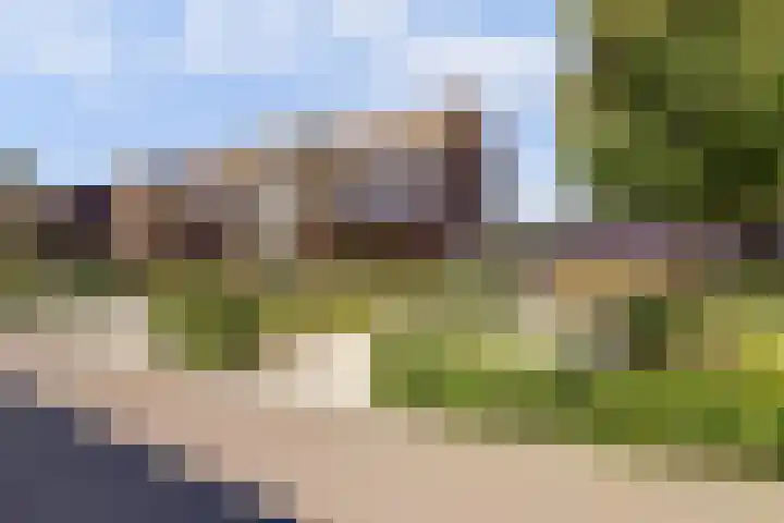 Loohof 9 Ermelo thumbnail 62