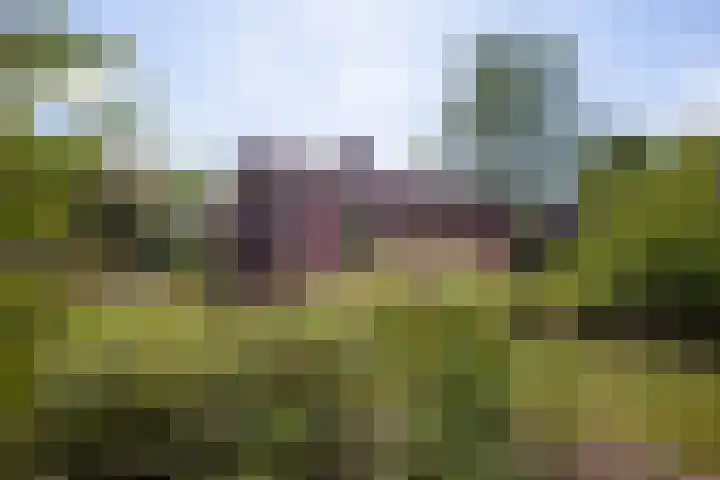 Loohuisweg 7 13 Aalten thumbnail 10