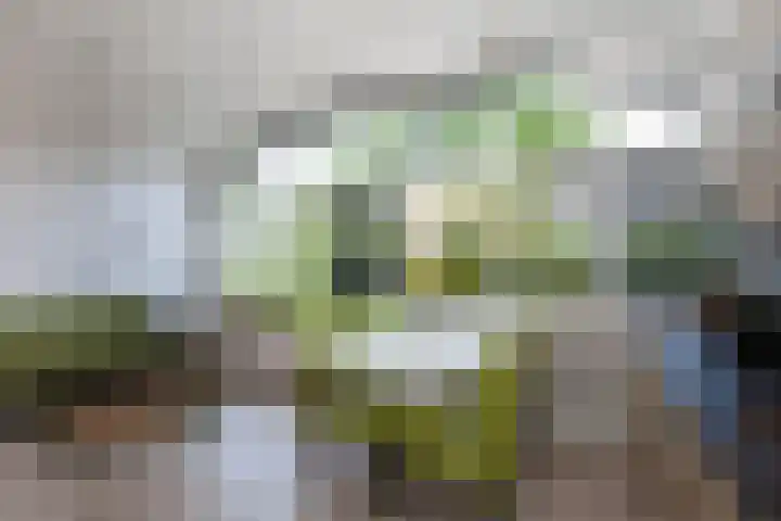 Loohuisweg 7 13 Aalten thumbnail 13
