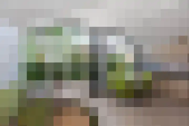 Loohuisweg 7 13 Aalten thumbnail 14
