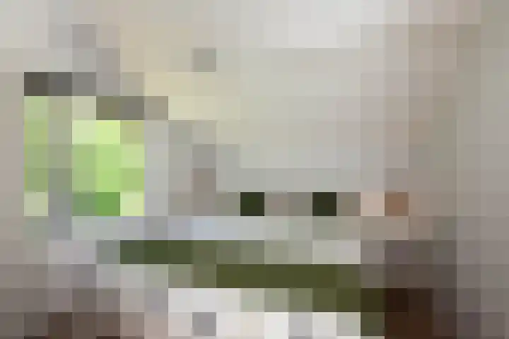 Loohuisweg 7 13 Aalten thumbnail 23