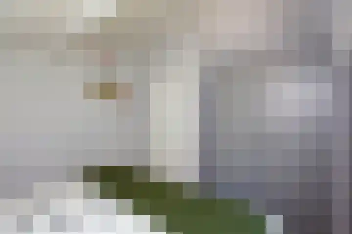 Loohuisweg 7 13 Aalten thumbnail 25