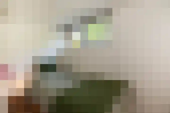 Loohuisweg 7 13 Aalten thumbnail 28