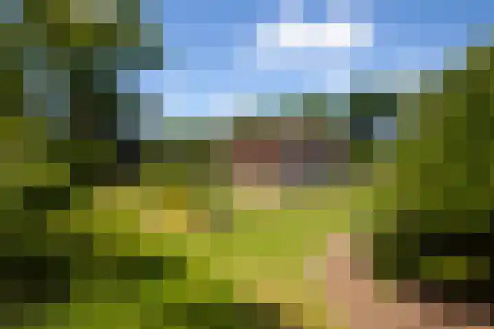 Loohuisweg 7 13 Aalten thumbnail 30