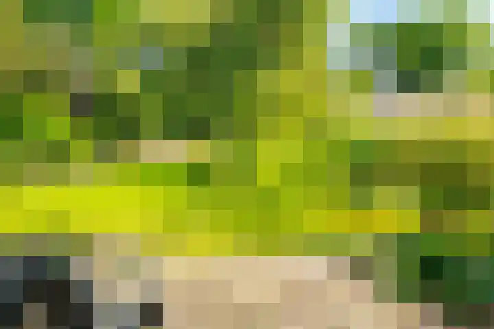 Loohuisweg 7 13 Aalten thumbnail 34