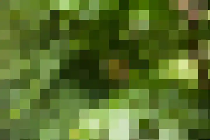 Loohuisweg 7 13 Aalten thumbnail 35
