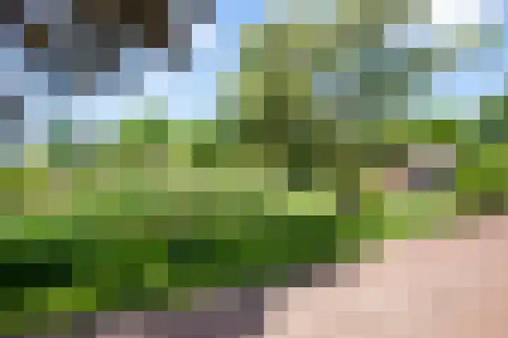 Loohuisweg 7 13 Aalten thumbnail 36