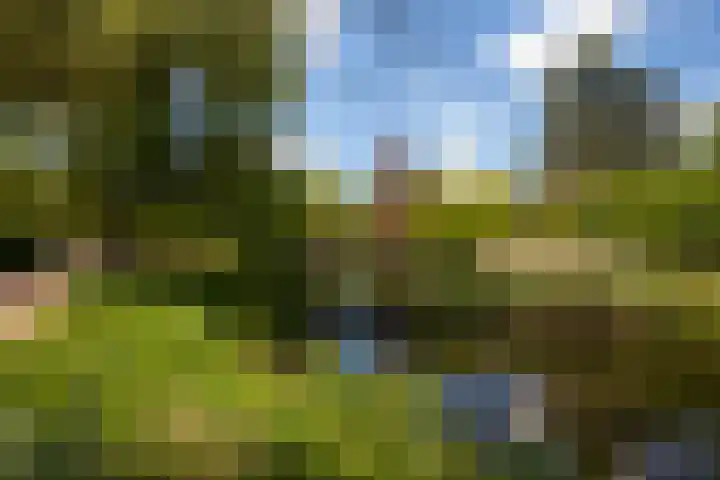 Loohuisweg 7 13 Aalten thumbnail 37