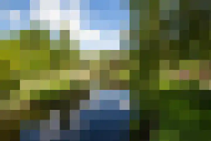 Loohuisweg 7 13 Aalten thumbnail 38