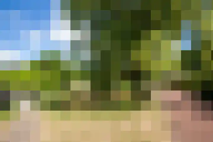 Loohuisweg 7 13 Aalten thumbnail 39