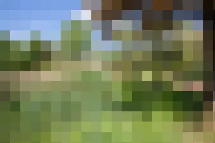 Loohuisweg 7 13 Aalten thumbnail 40