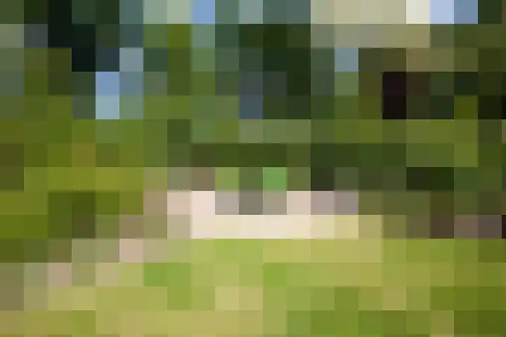Loohuisweg 7 13 Aalten thumbnail 6