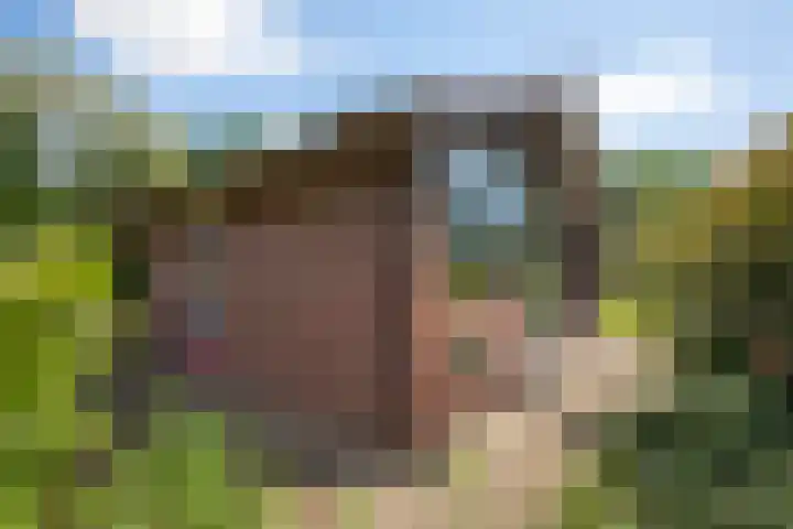 Loohuisweg 7 13 Aalten thumbnail 9