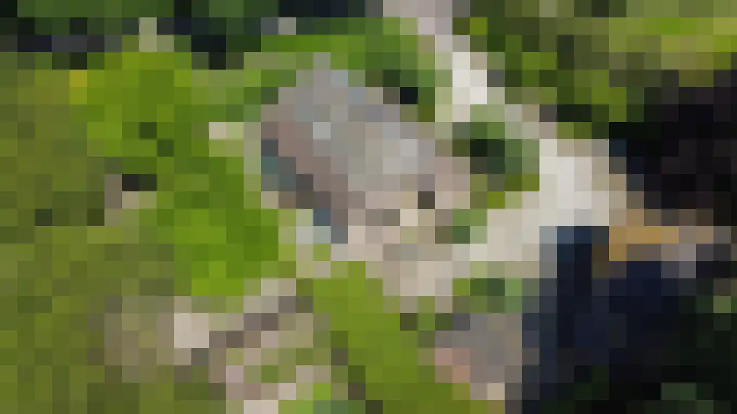 Looieind 30 Erp