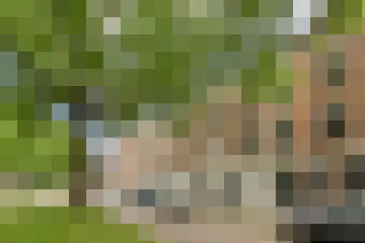 Looieind 30 Erp thumbnail 101