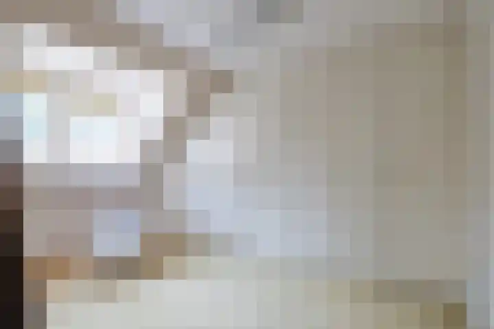 Looieind 30 Erp thumbnail 105