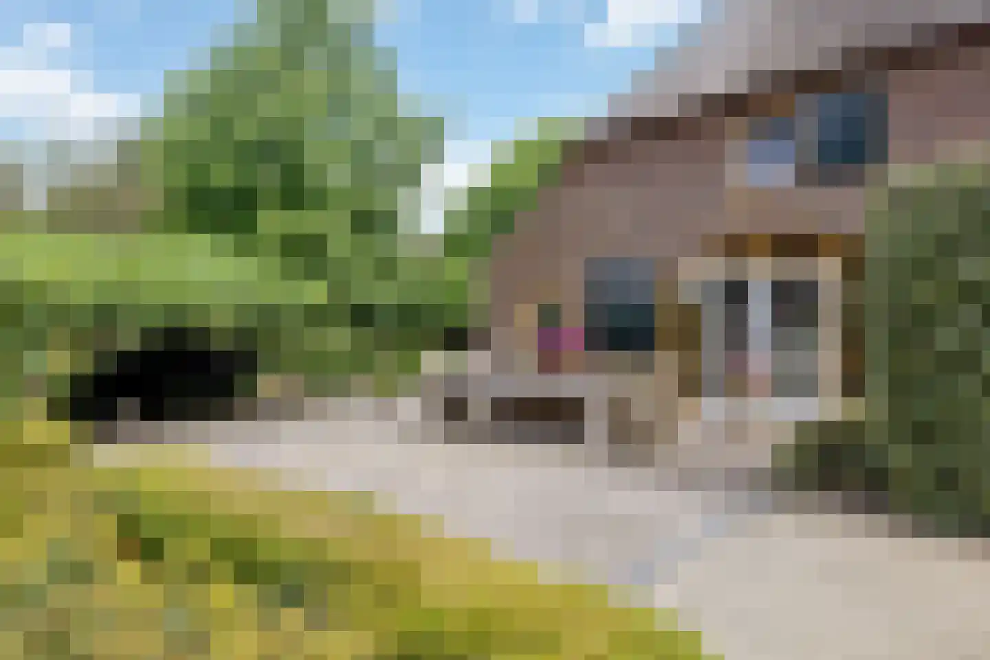 Looieind 30 Erp thumbnail 12