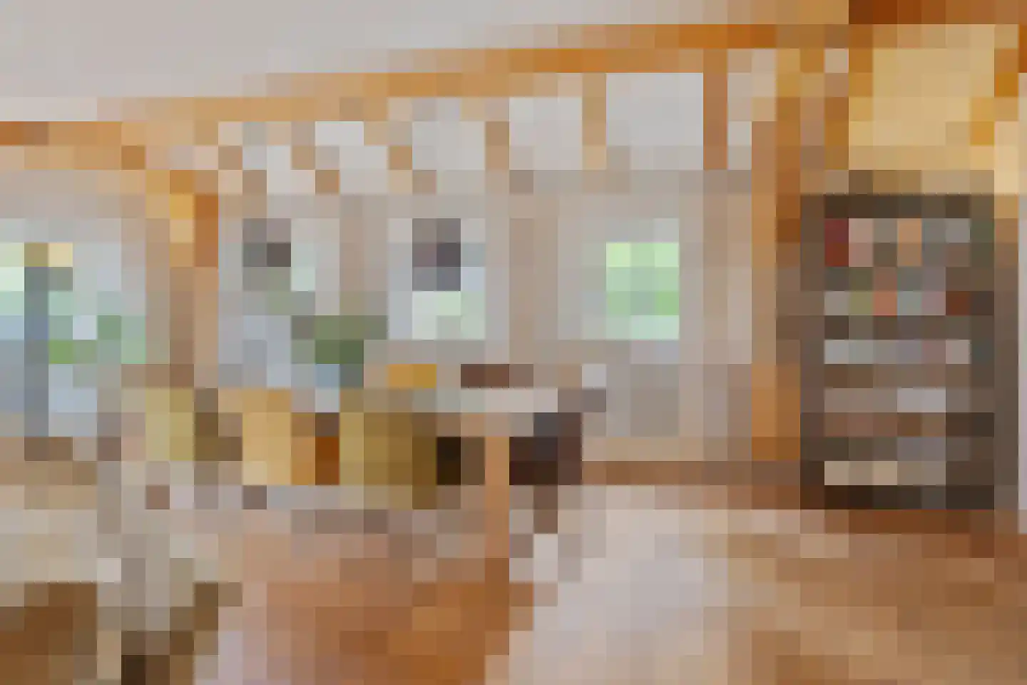 Looieind 30 Erp thumbnail 17