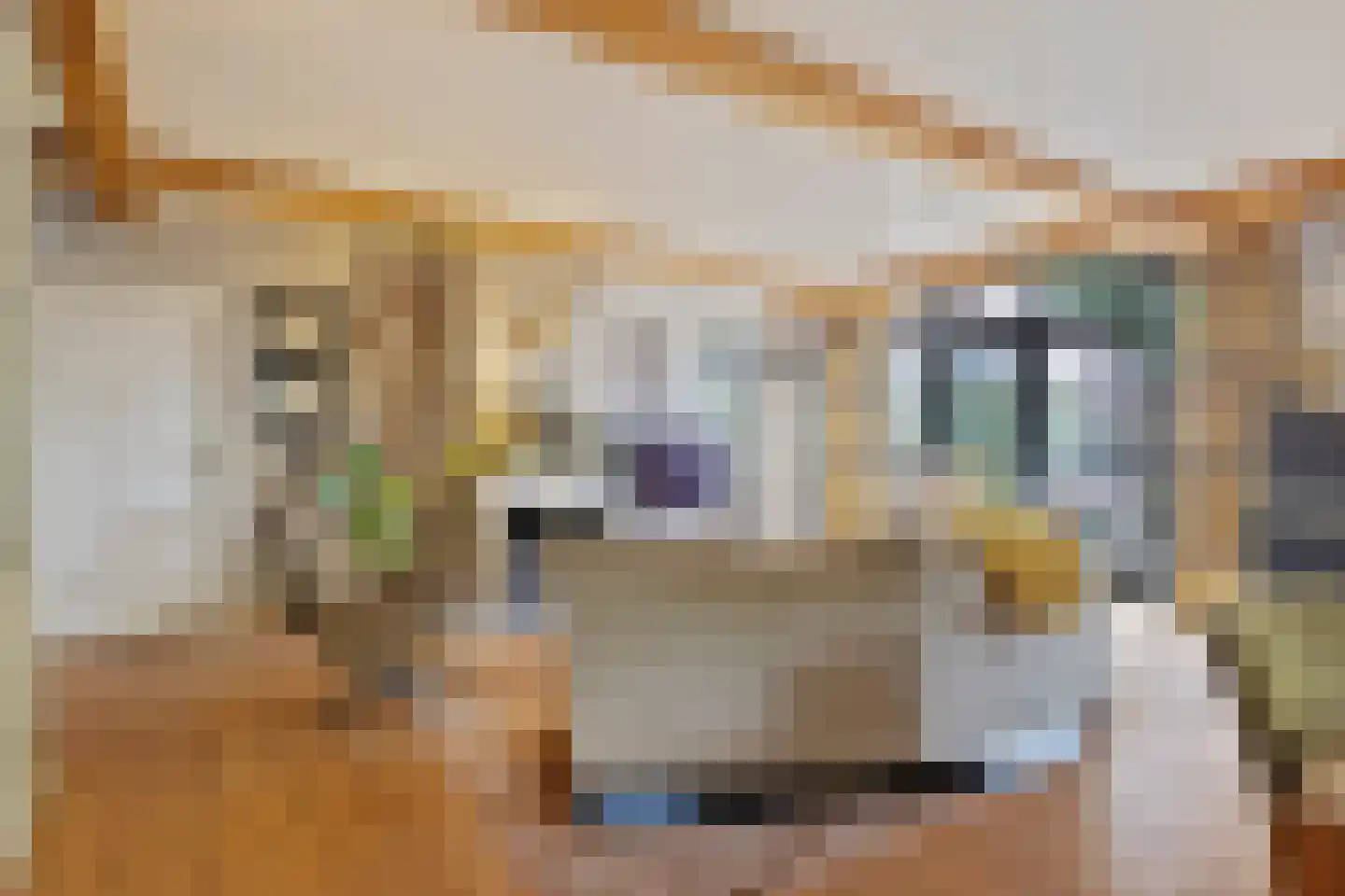 Looieind 30 Erp thumbnail 19