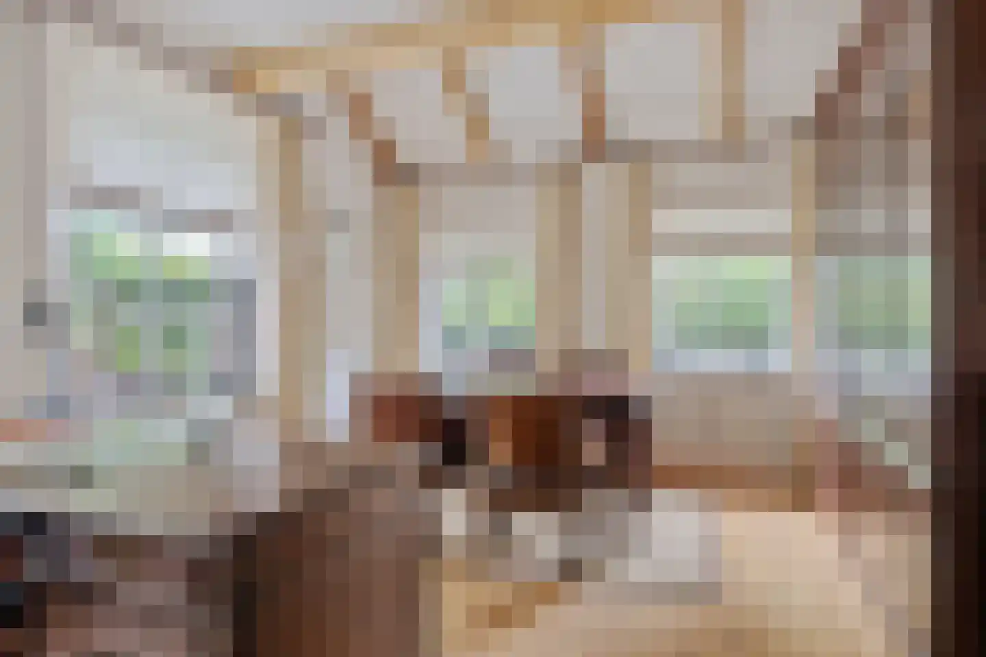 Looieind 30 Erp thumbnail 32