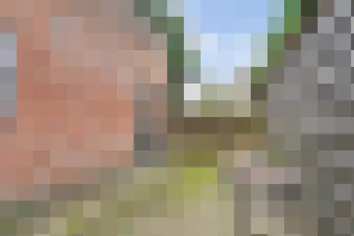 Looieind 30 Erp thumbnail 37