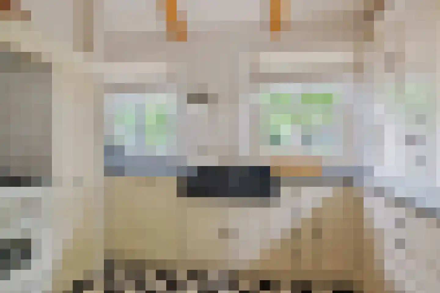 Looieind 30 Erp thumbnail 39