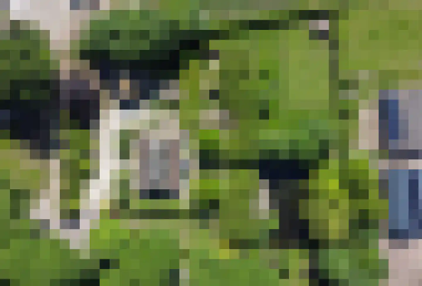 Looieind 30 Erp thumbnail 4