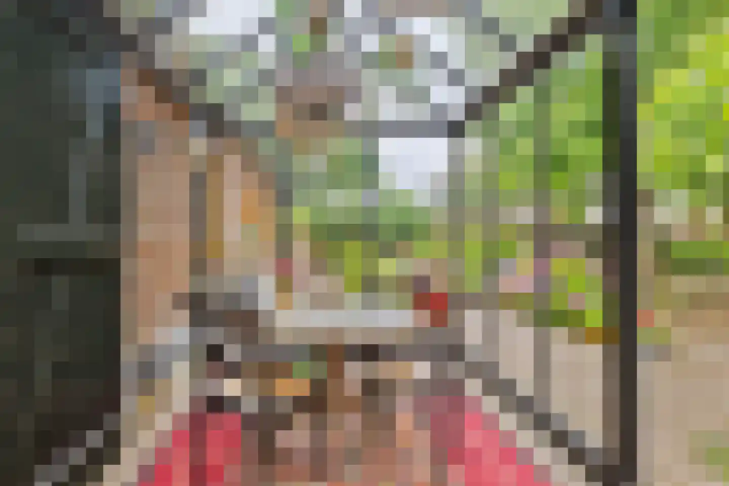 Looieind 30 Erp thumbnail 42