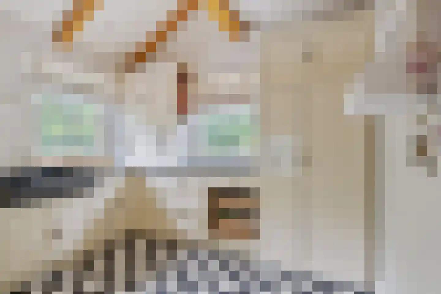 Looieind 30 Erp thumbnail 42