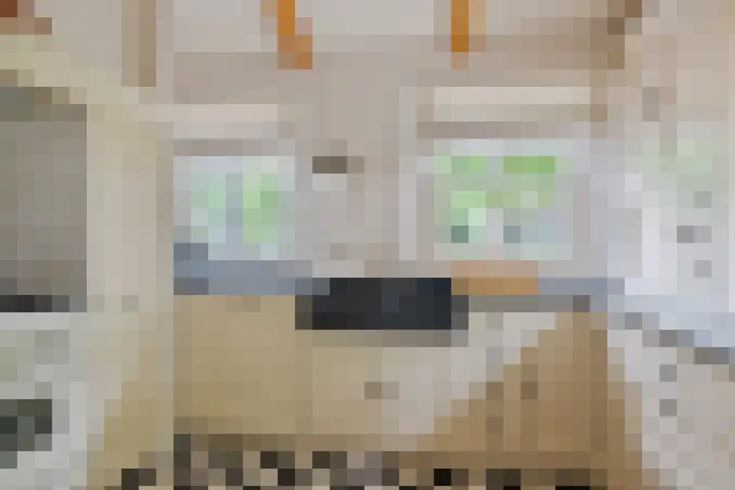 Looieind 30 Erp thumbnail 43