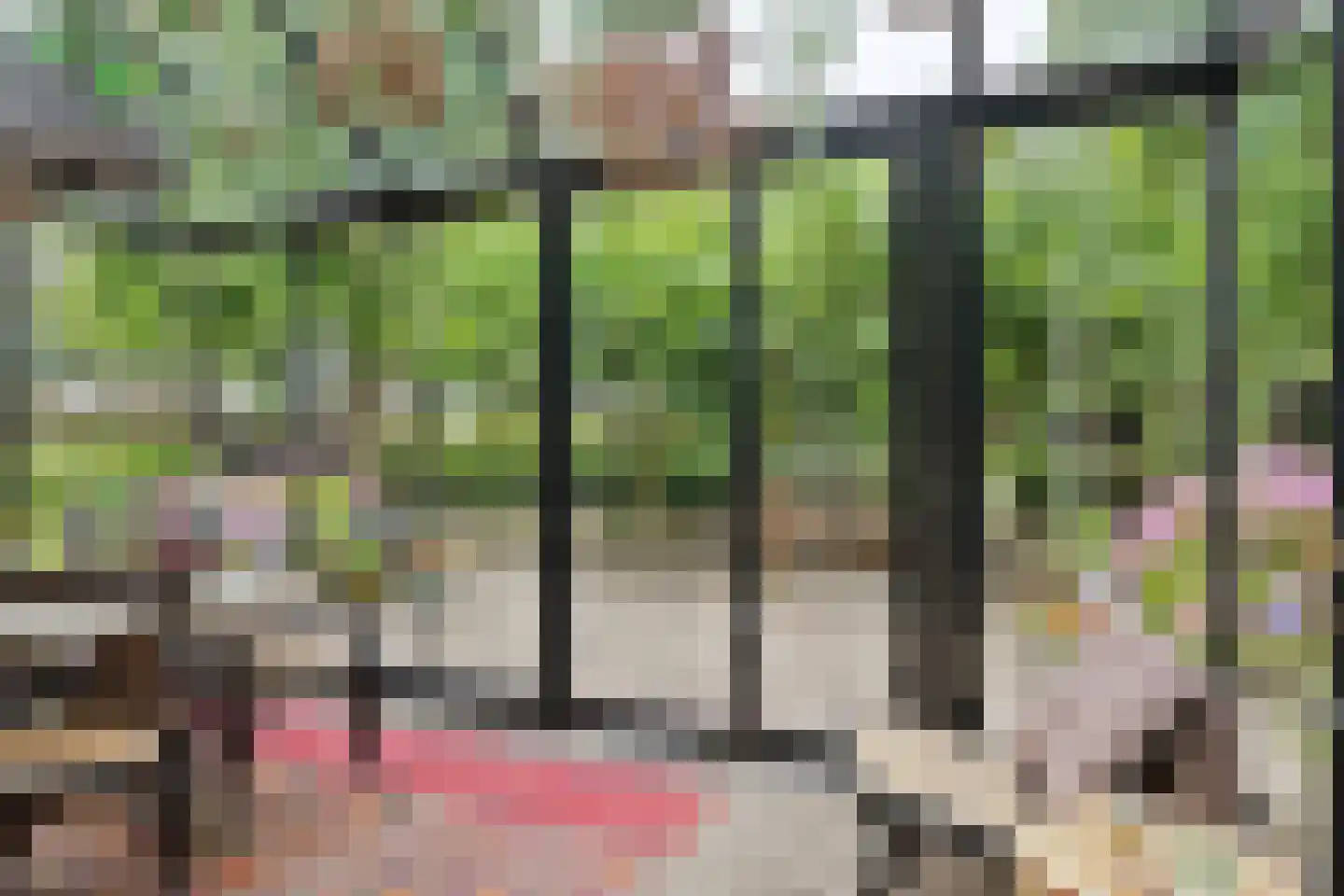 Looieind 30 Erp thumbnail 45