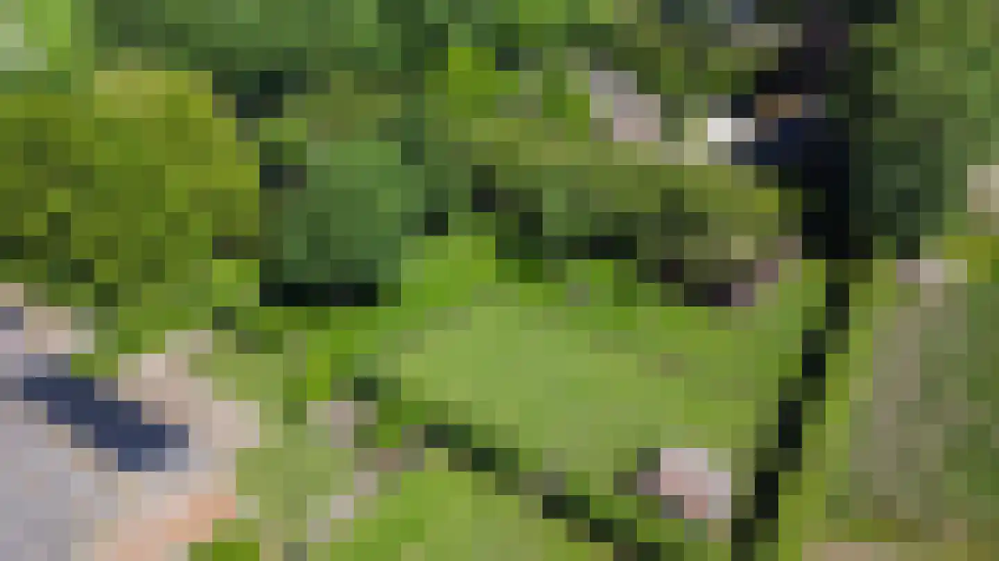 Looieind 30 Erp thumbnail 5