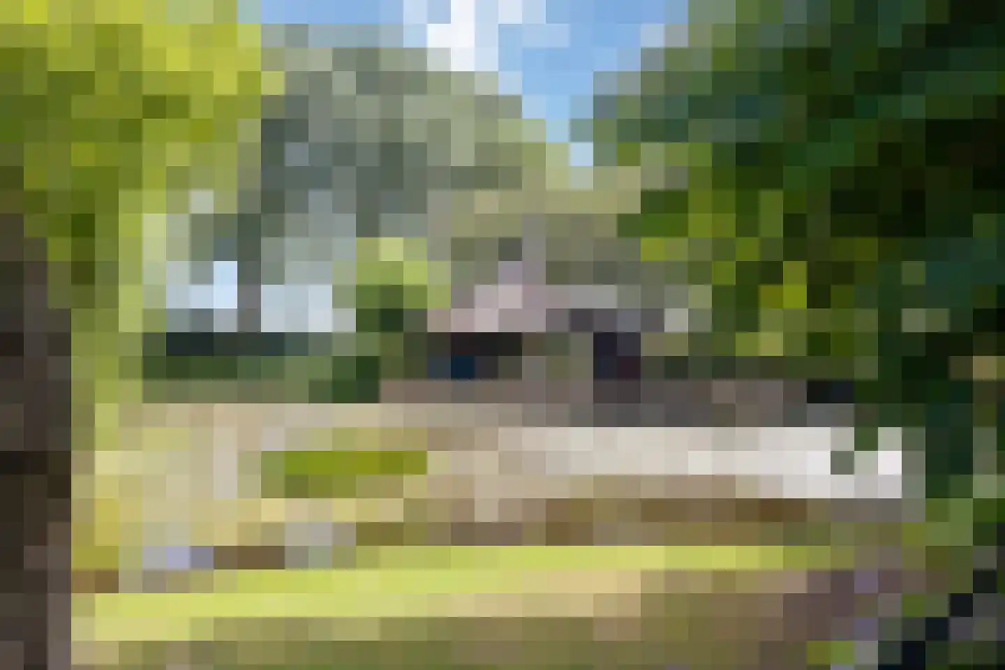 Looieind 30 Erp thumbnail 6