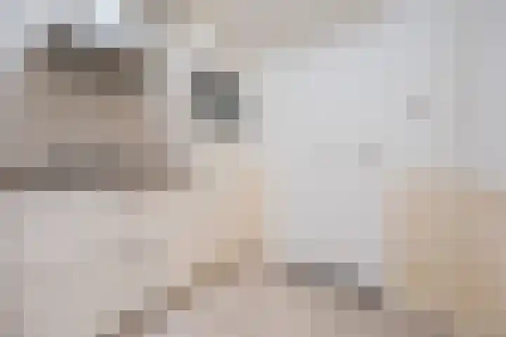 Looieind 30 Erp thumbnail 66