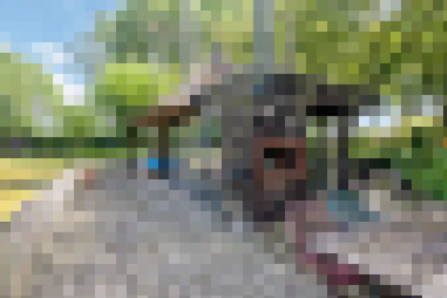 Looieind 30 Erp thumbnail 68